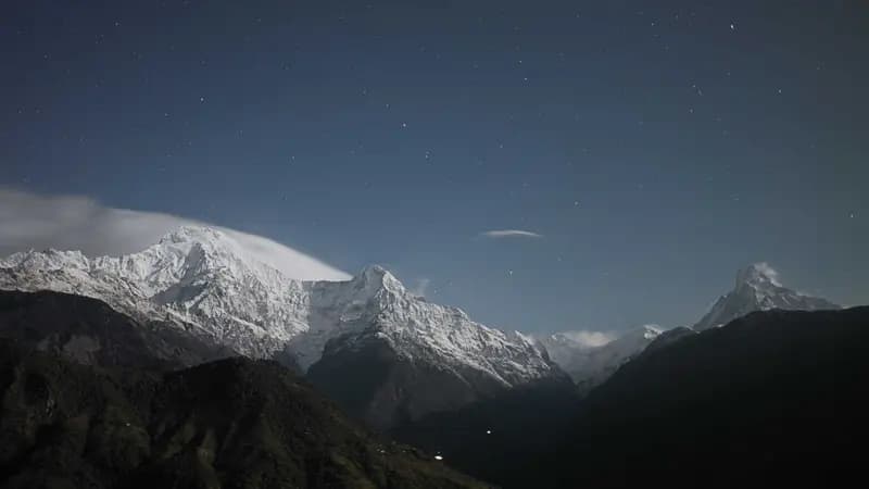 牛津阅读树 1级
