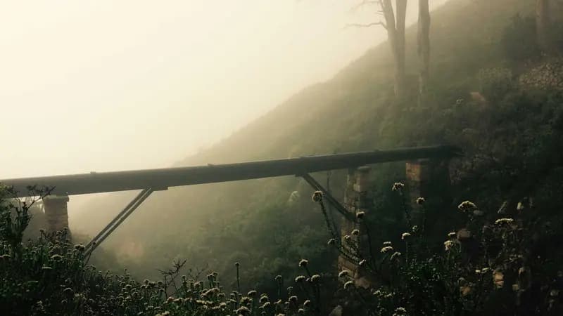 牛津阅读树 5级