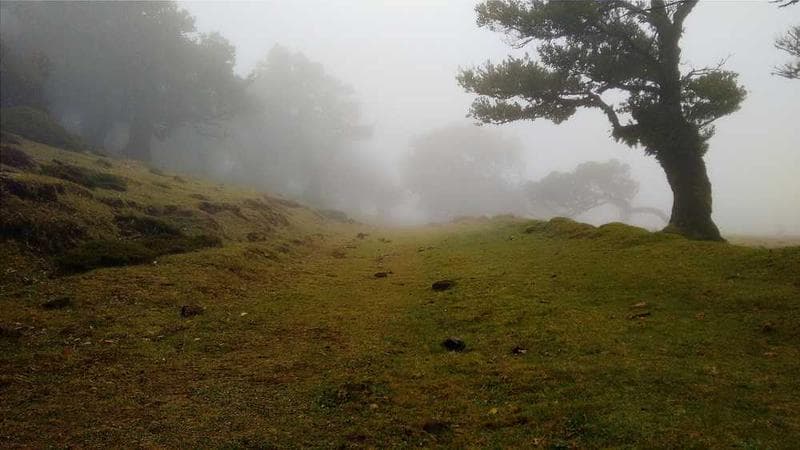 冀教版（三年级起点） 四年级下册
