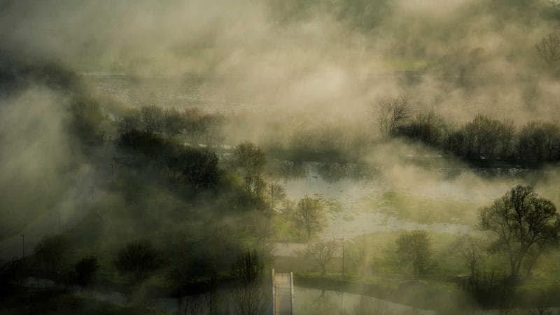 辽宁师大版 六年级下册