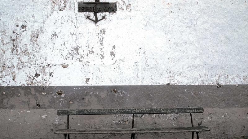 教科版（主编：龚亚夫&鲁宗干） 六年级上册