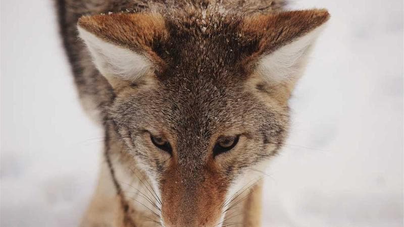 日常用语英语8000句