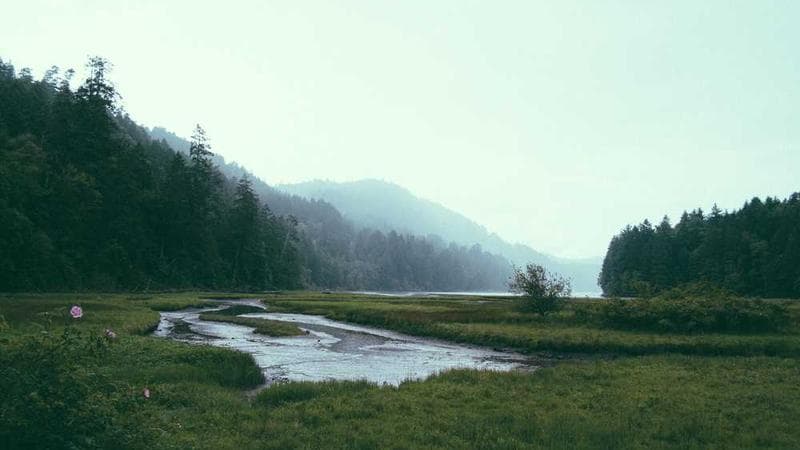 新概念英语第四册