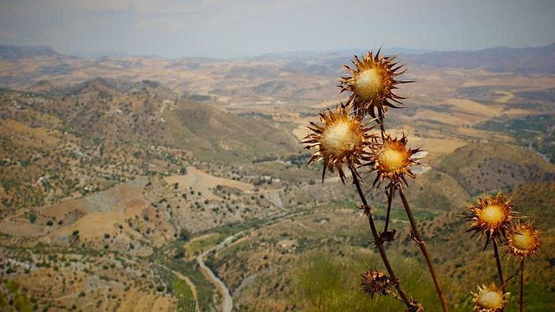冀教版（一年级起点） 一年级上册