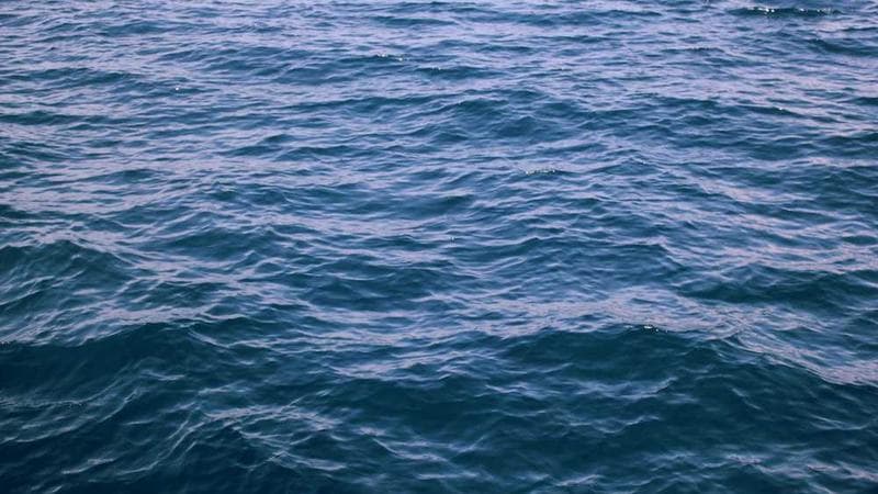 科普版 六年级上册