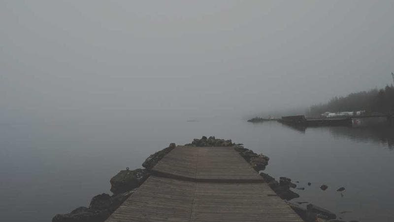 北师大版（三年级起点） 四年级上册