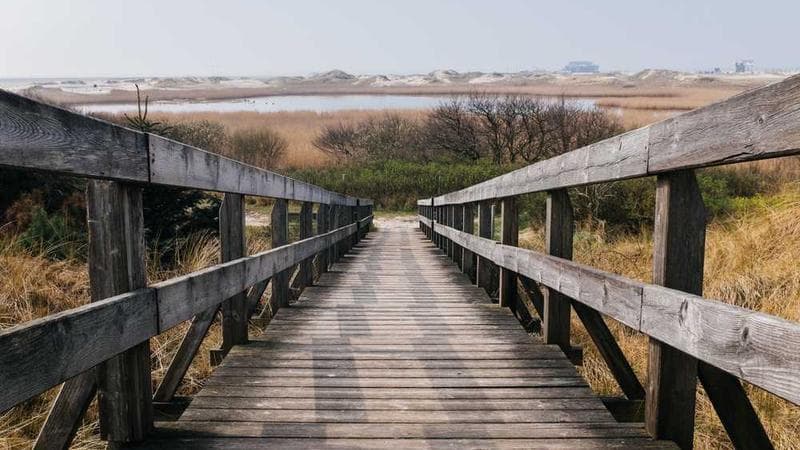 沪教版 五年级上册