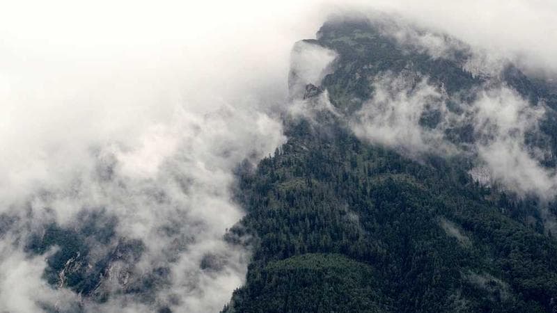 科普版 五年级上册