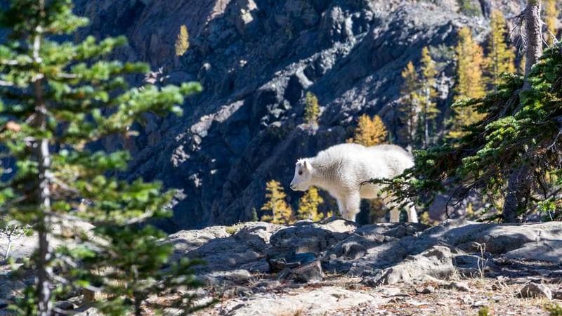 沪教版 四年级下册