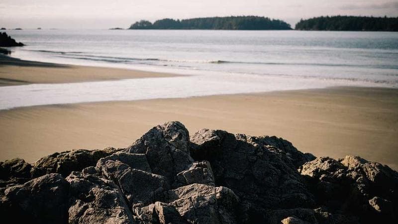 北京版（一年级起点） 五年级下册