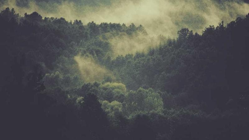 冀教版（三年级起点） 五年级上册