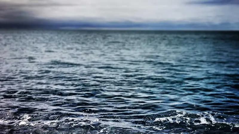 人教PEP版小学英语 五年级