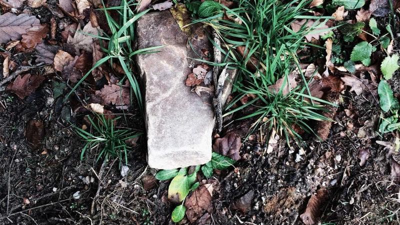 英语四六级学习语料大全