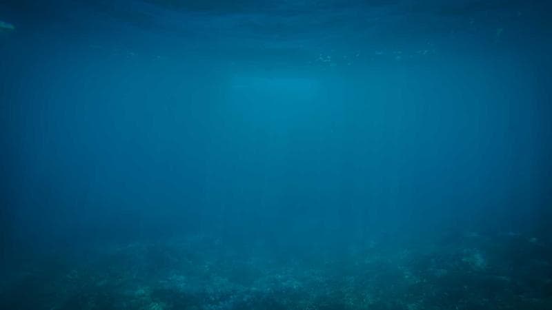 高考英语翻译测验 上册